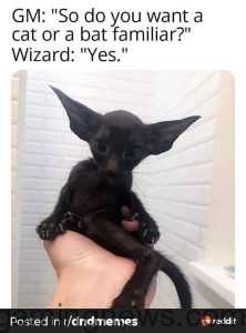 25+ of the Best Dungeons and Dragons Memes of the Week (November 8, 2024)