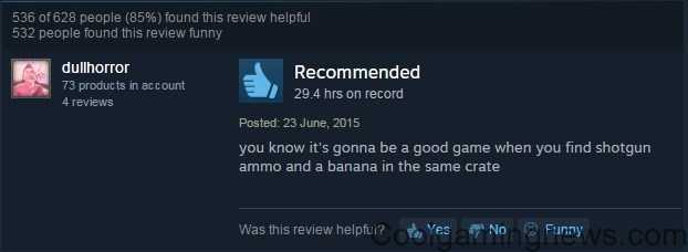 25+ Funny Steam Reviews From Goofy Gamers