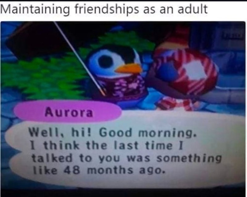 Maintaining friendships as an adult