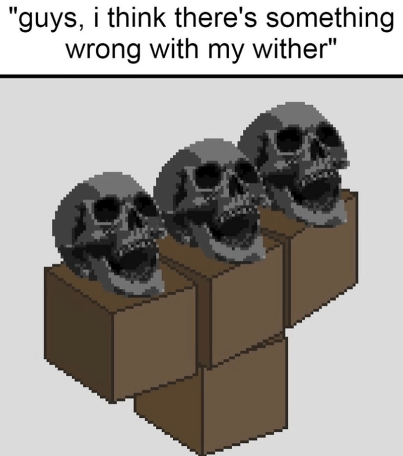 Guys, I think there's something wrong with my wither