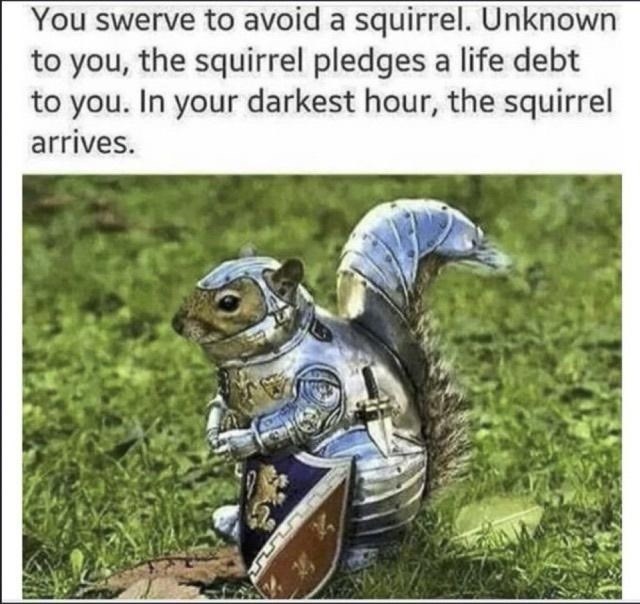 You swerve to avoid a squirrel.