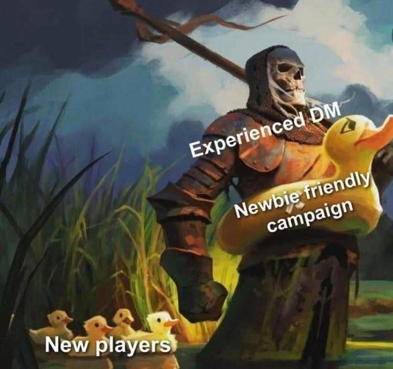 New players Experienced DM Newbie friendly campaign