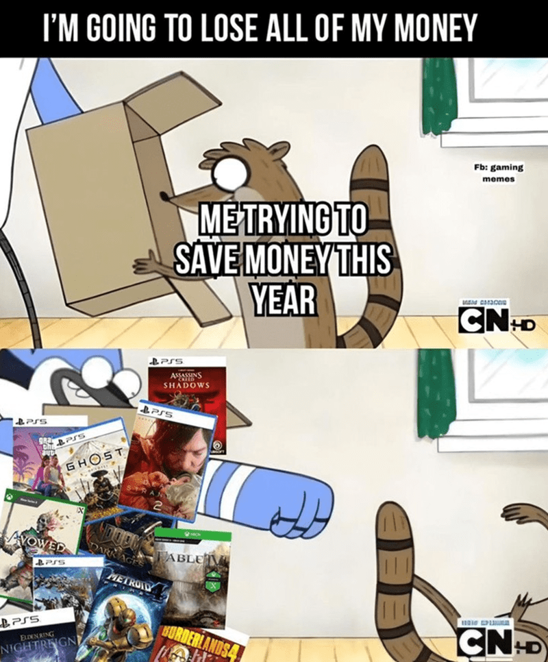 Gamer's budget