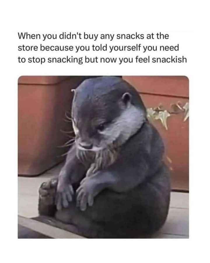 When you didn't buy any snacks at the store because you told yourself you need to stop snacking but now you feel snackish