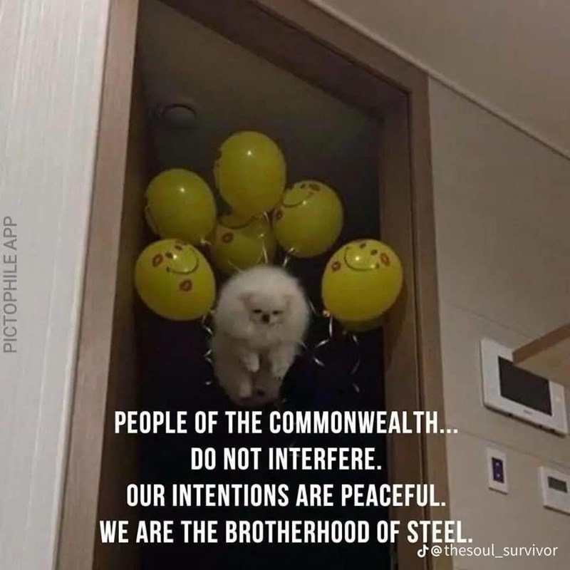 PICTOPHILE APP PEOPLE OF THE COMMONWEALTH... DO NOT INTERFERE.