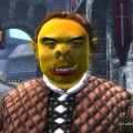 Oblivion NPC expression during persuasion