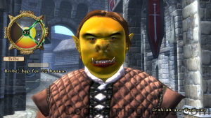 Oblivion NPC expression during persuasion