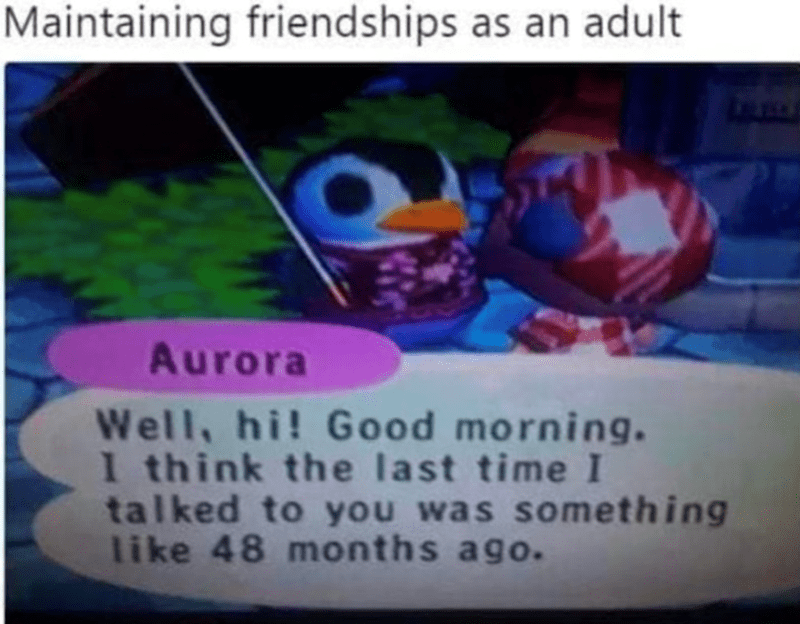 Maintaining friendships as an adult: well, hi! Good morning. I think the last time I talked to you was something like 48 months ago.
