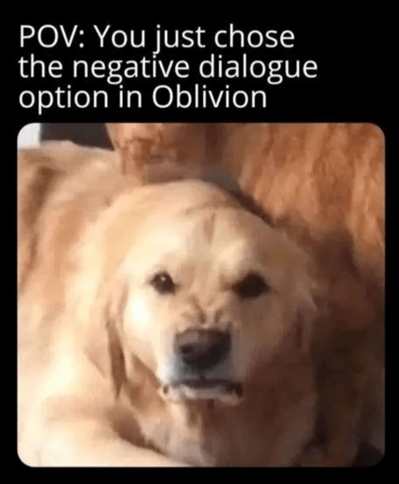 You just chose the negative dialogue option in Oblivion