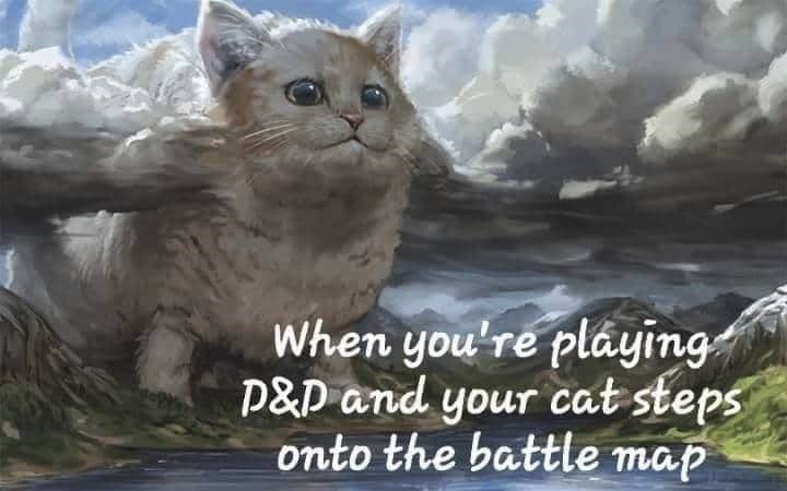 When you're playing D&D and your cat steps onto the battle map