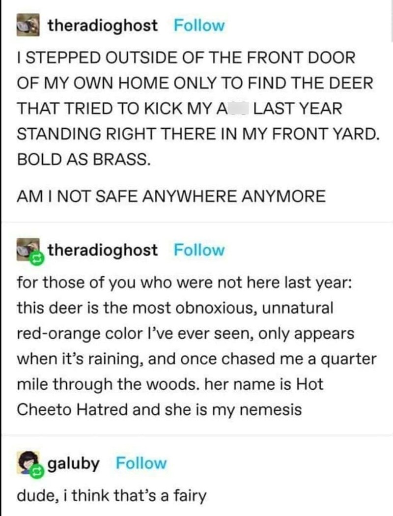 I STEPPED OUTSIDE OF MY HOME ONLY TO FIND THE DEER THAT TRIED TO KICK MY A LAST YEAR STANDING IN MY YARD. BOLD AS BRASS.