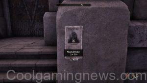 Oblivion Thieves Guild - Gray Fox poster