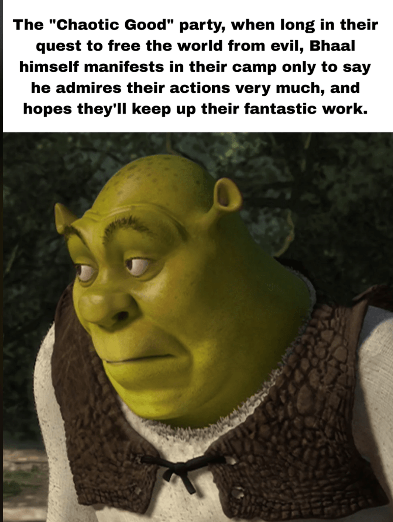 The 'Chaotic Good' party, when long in their quest to free the world from evil...