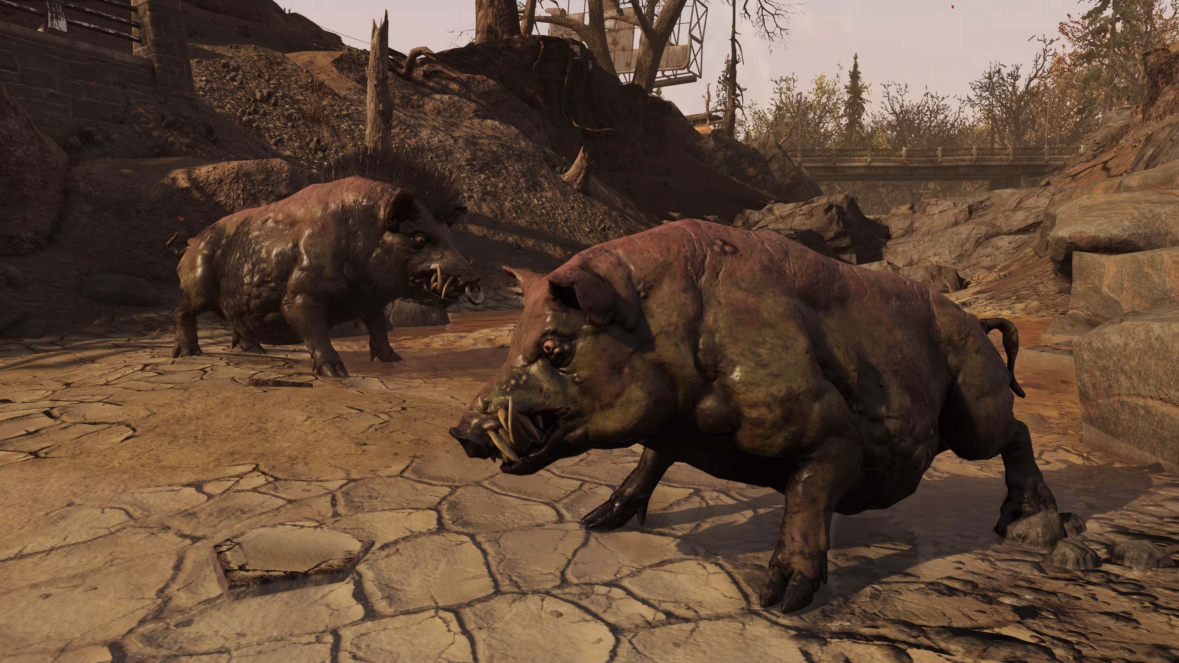 Fallout 76 New Features