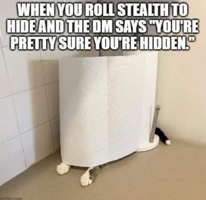 WHEN YOU ROLL STEALTH TO HIDE AND THE DM SAYS 'YOU'RE PRETTY SURE YOU'RE HIDDEN.'