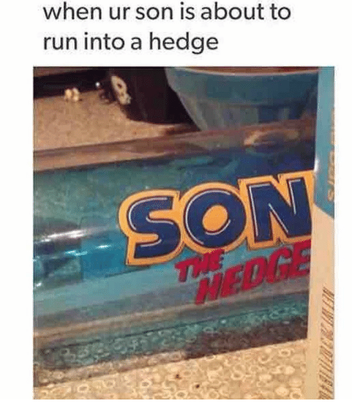 When ur son is about to run into a hedge