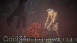 Expedition 33 Bourgeon skin