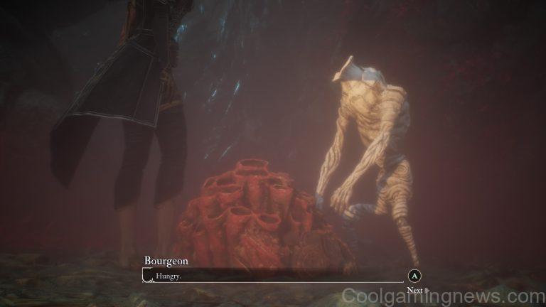 Expedition 33 Bourgeon skin