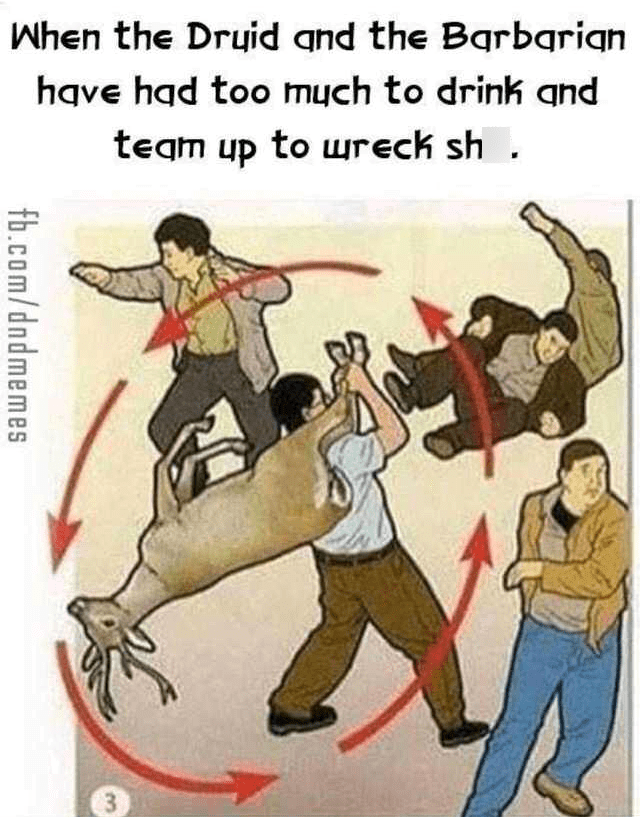 When the Druid and the Barbarian have had too much to drink and team up to wreck sh.