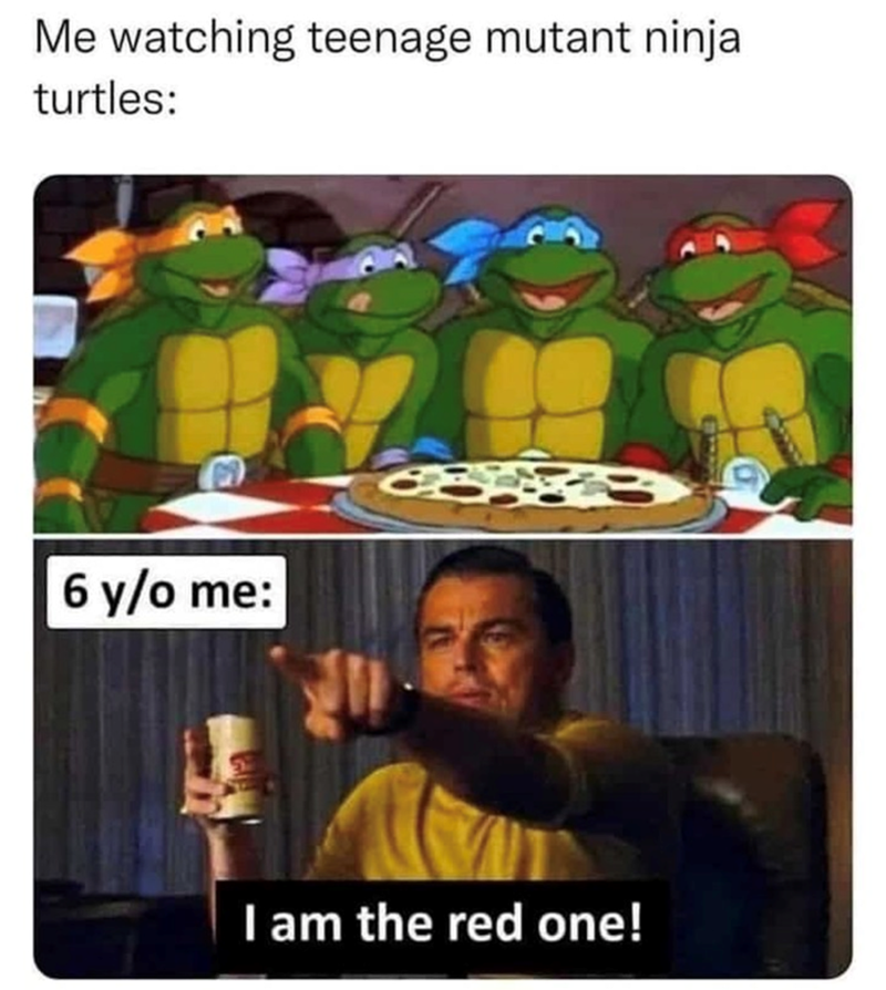Me watching Teenage Mutant Ninja Turtles: 6 y/o me: I am the red one!