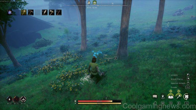 Flax in RuneScape Dragonwilds