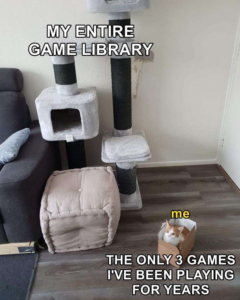 MY ENTIRE GAME LIBRARY me THE ONLY 3 GAMES I'VE BEEN PLAYING FOR YEARS