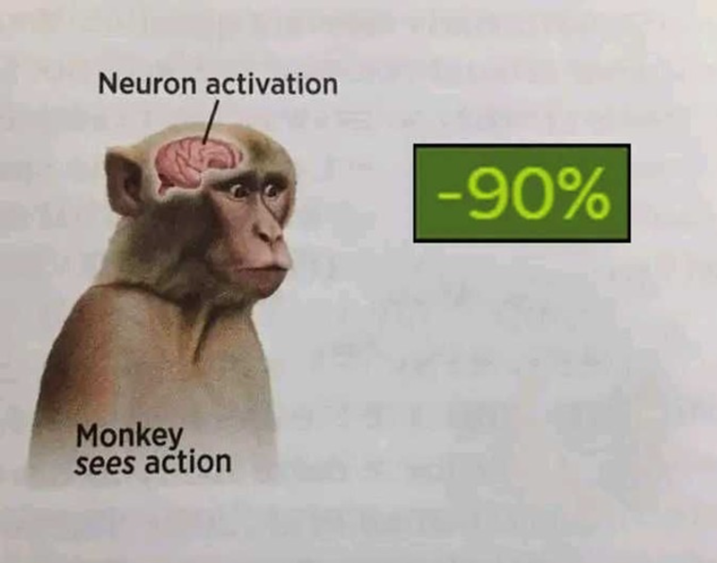 Neuron activation: Monkey sees action -90%