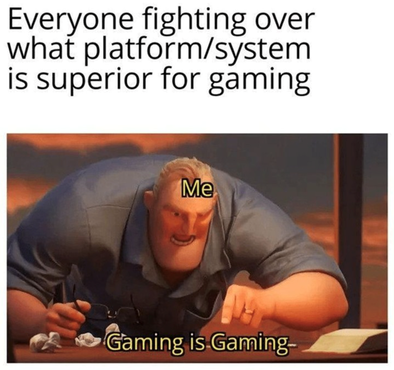 Everyone fighting over what platform is superior for gaming. Me: 'Gaming is gaming'.