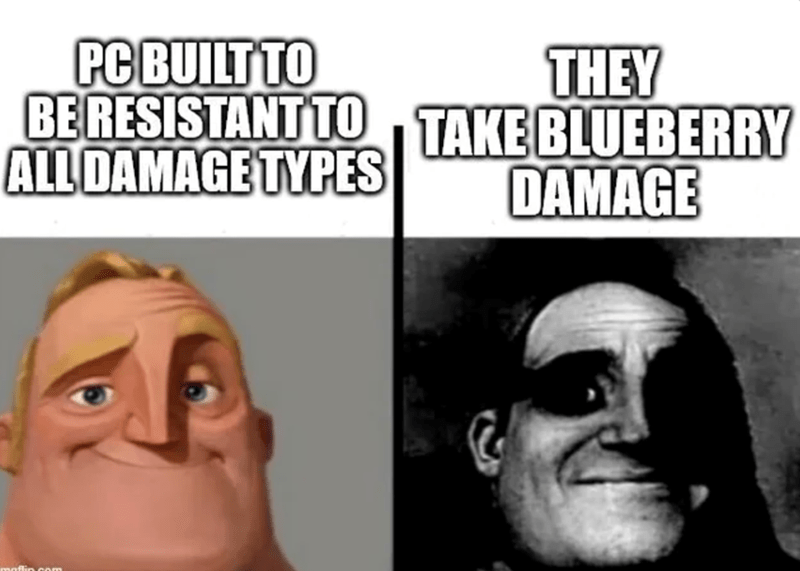 Blueberry damage? Really?