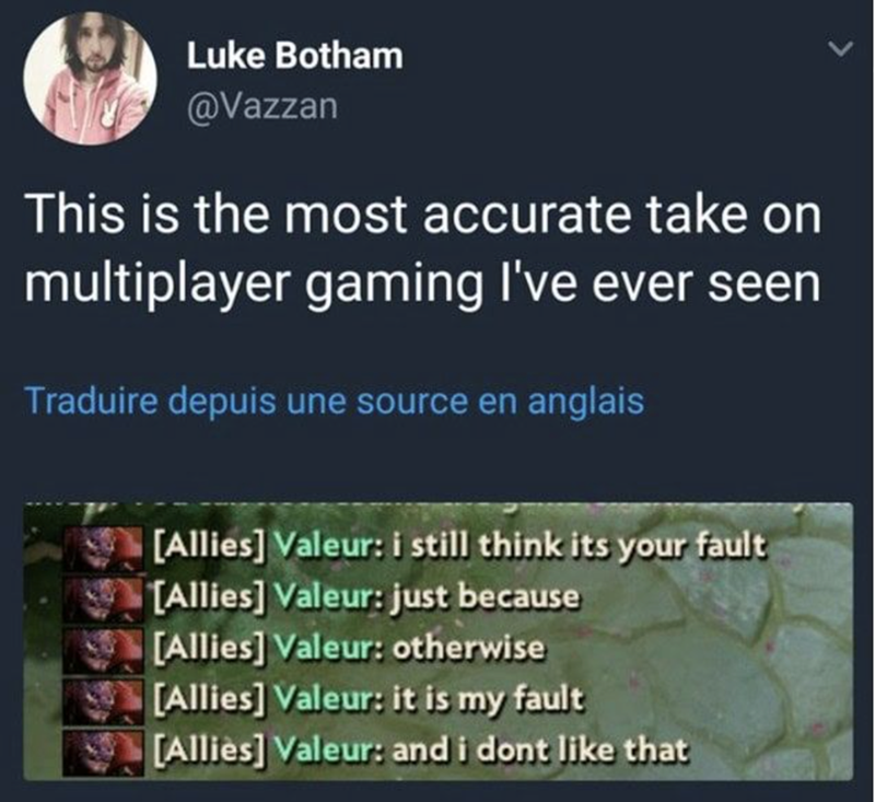 This is the most accurate take on multiplayer gaming I've ever seen