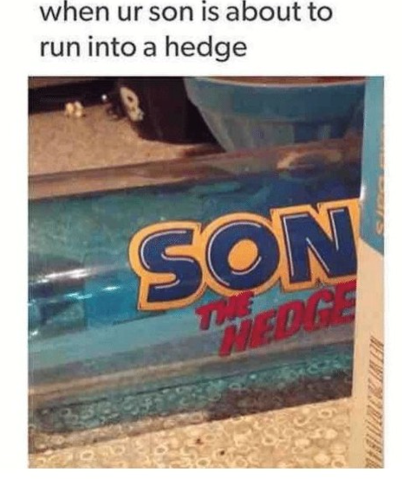 when ur son is about to run into a hedge SON THE HEDGE