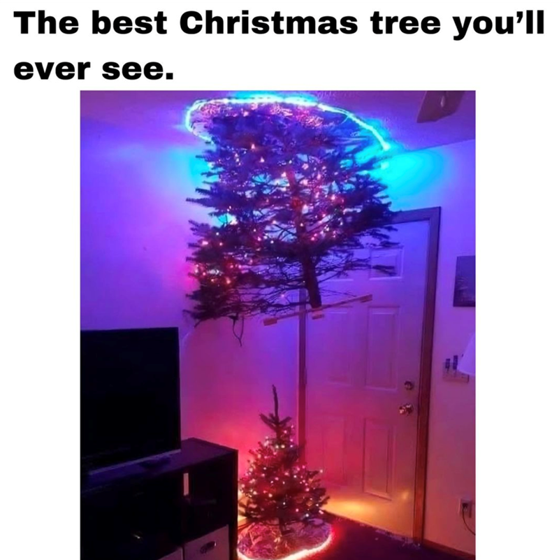 The best Christmas tree you'll ever see.