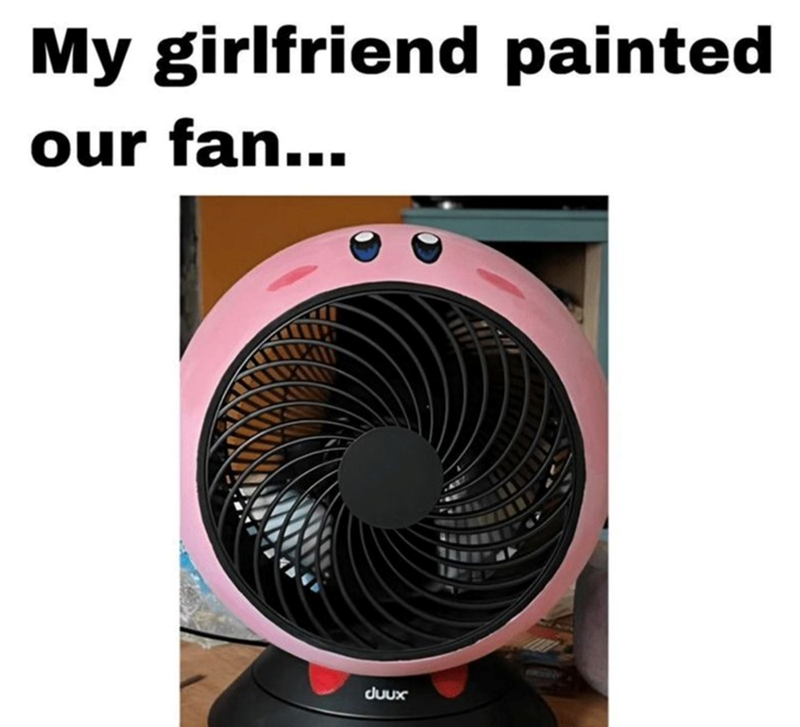 My girlfriend painted our fan... duux