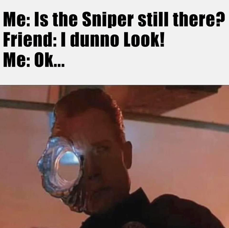 Me: Is the Sniper still there? Friend: I dunno. Look! Me: Ok...