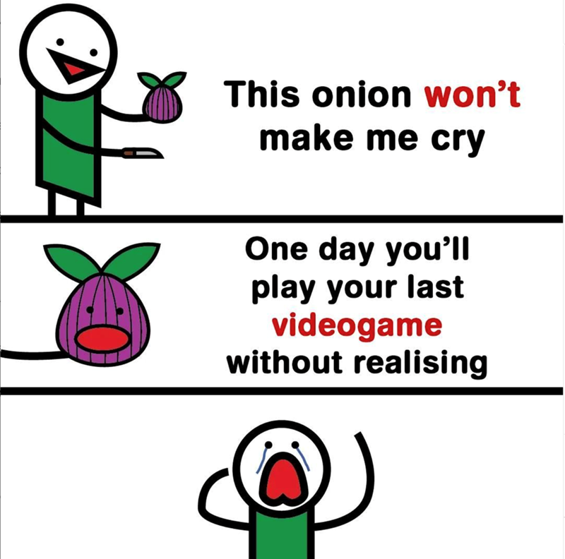This onion won't make me cry One day you'll play your last videogame without realising