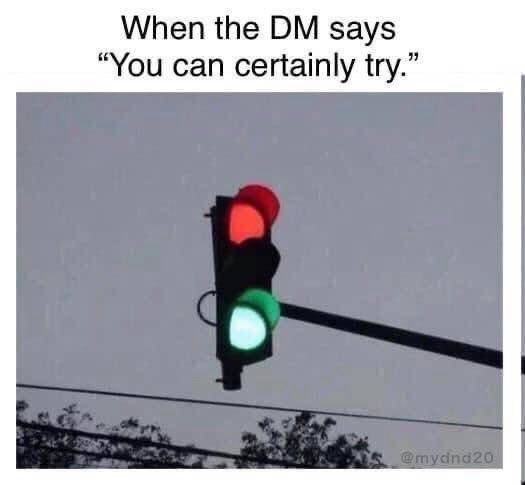 When the DM says, 'You can certainly try.'