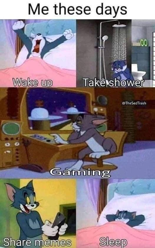 Me these days 00 Wake up Take shower Gaming @TheSedTrash Share memes Sleep