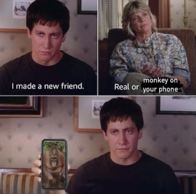 I made a new friend. monkey on Real or your phone